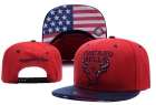 NBA BULL snapback-520