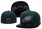 NFL fitted hats-189