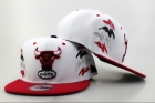 NBA BULL snapback-536