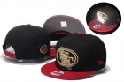 NFL SF 49ers hats-163