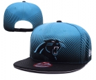 NFL Carolina Panthers hats-40