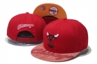 NBA BULL snapback-563