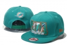 NFL Miami Dolphins snapback-75