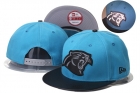 NFL Carolina Panthers hats-55