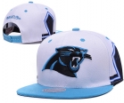 NFL Carolina Panthers hats-57