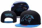 NFL Carolina Panthers hats-59