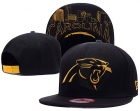 NFL Carolina Panthers hats-61
