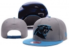 NFL Carolina Panthers hats-63