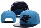NFL Carolina Panthers hats-65