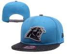 NFL Carolina Panthers hats-67