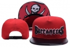 NFL Tampa Bay Buccaneers hats-19