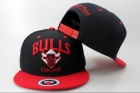 NBA Chicago Bulls Snapback-749