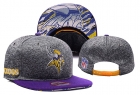 NFL MINNESOTA VIKINGS hats-17