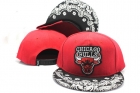 NBA Chicago Bulls Snapback-810