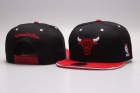 NBA Chicago Bulls Snapback-814