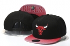 NBA Chicago Bulls Snapback-826