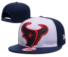 NFL Houston Texans hats-67