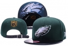 NFL Philadelphia Eagles hats-81