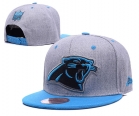 NFL Carolina Panthers hats-83