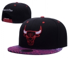 NBA Chicago Bulls Snapback-865