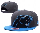 NFL Carolina Panthers hats-88
