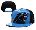 NFL Carolina Panthers hats-90