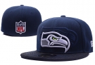 NFL fitted hats-194