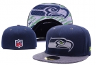 NFL fitted hats-204