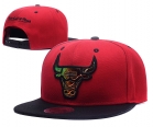 NBA Chicago Bulls Snapback-895