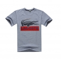 Lacoste T-Shirts-5118