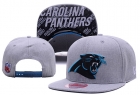 NFL Carolina Panthers hats-99