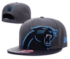 NFL Carolina Panthers hats-100