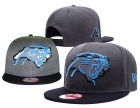 NFL Carolina Panthers hats-103