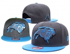 NFL Carolina Panthers hats-104