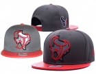 NFL Houston Texans hats-81