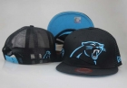 NFL Carolina Panthers hats-105