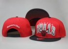 NBA Chicago Bulls Snapback-924