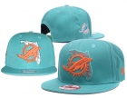 NFL Miami Dolphins snapback-98