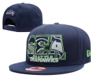 NFL Seattle Seahawks Snapback-243