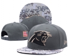 NFL Carolina Panthers hats-119