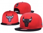 NBA Bulls snapback-7989