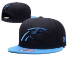 NFL Carolina Panthers hats-7247