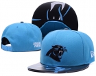 NFL Carolina Panthers hats-7248
