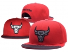 NBA Bulls snapback-8023