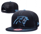 NFL Carolina Panthers hats-7252