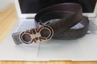 Ferragamo belts(1.1)-7125