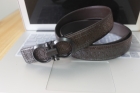Ferragamo belts(1.1)-7121