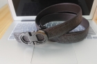 Ferragamo belts(1.1)-7130