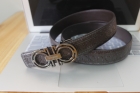 Ferragamo belts(1.1)-7137