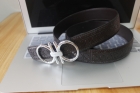 Ferragamo belts(1.1)-7147